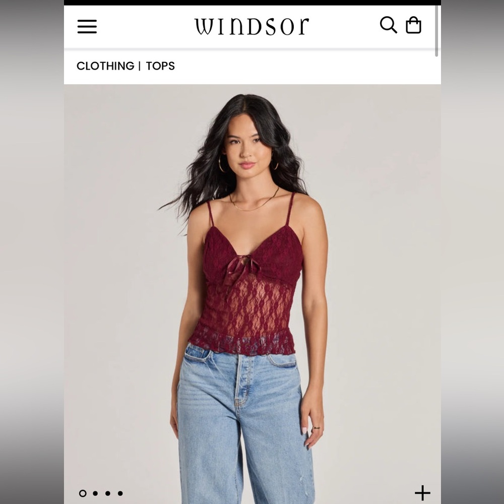 Sheerly Sultry V-Neck
Lace Crop Top